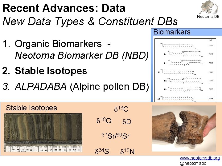 Recent Advances: Data New Data Types & Constituent DBs Neotoma DB Biomarkers 1. Organic