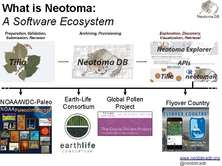 What is Neotoma: A Software Ecosystem NOAA/WDC-Paleo Earth-Life Consortium Global Pollen Project Neotoma DB