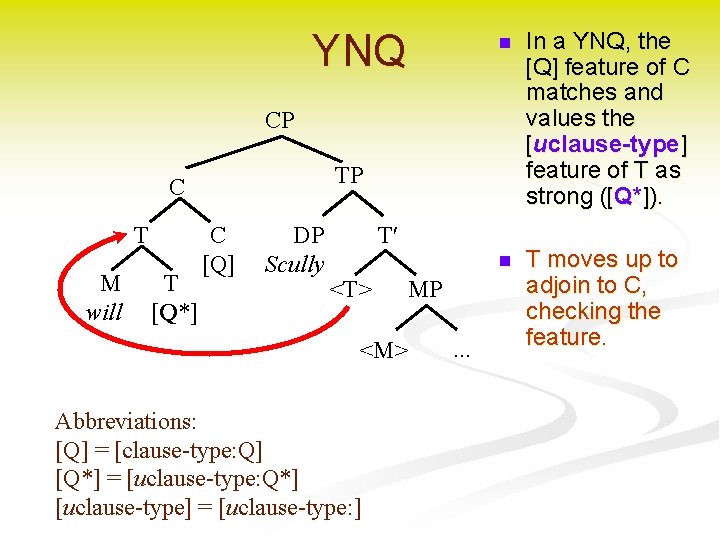 YNQ n In a YNQ, the [Q] feature of C matches and values the