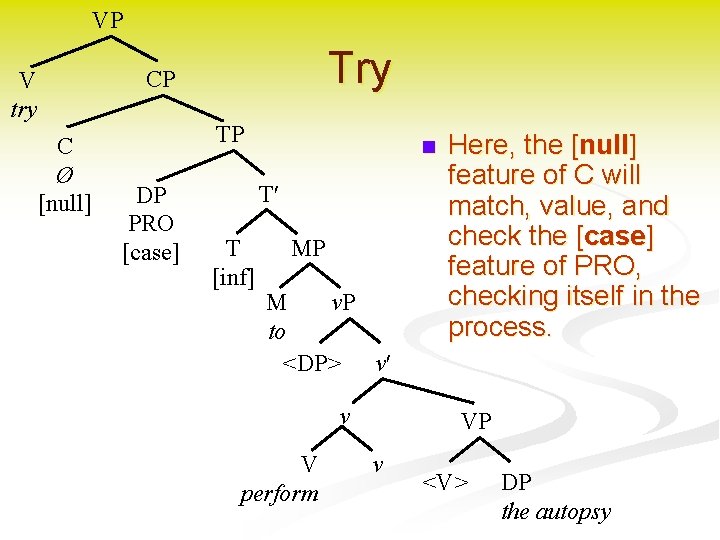 VP Try CP V try C Ø [null] TP DP PRO [case] n T