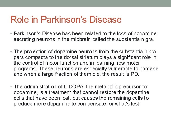 Role in Parkinson's Disease • Parkinson's Disease has been related to the loss of