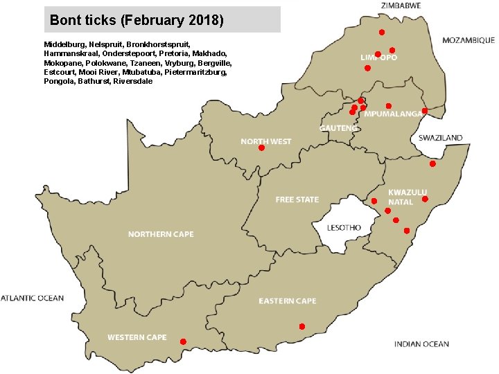 Bont ticks (February 2018) jkccff Middelburg, Nelspruit, Bronkhorstspruit, Hammanskraal, Onderstepoort, Pretoria, Makhado, Mokopane, Polokwane,