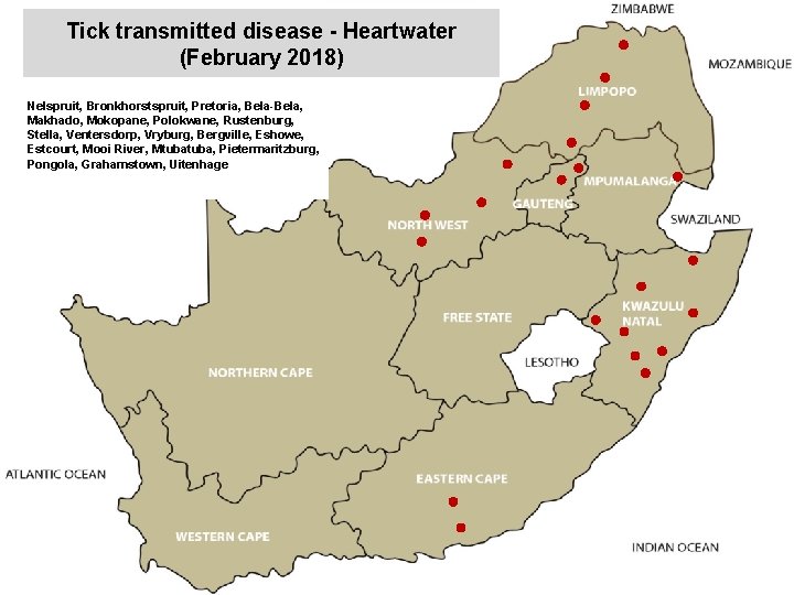 Tick transmitted disease - Heartwater (February 2018) Nelspruit, Bronkhorstspruit, Pretoria, Bela-Bela, Makhado, Mokopane, Polokwane,