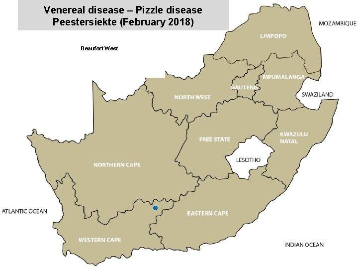 Venereal disease – Pizzle disease Peestersiekte (February 2018) Beaufort West x 