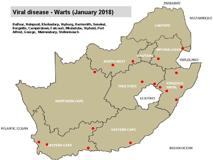 Viral disease - Warts (January 2018) kjkjnmn Balfour, Nelspruit, Klerksdorp, Vryburg, Harrismith, Senekal, Bergville,