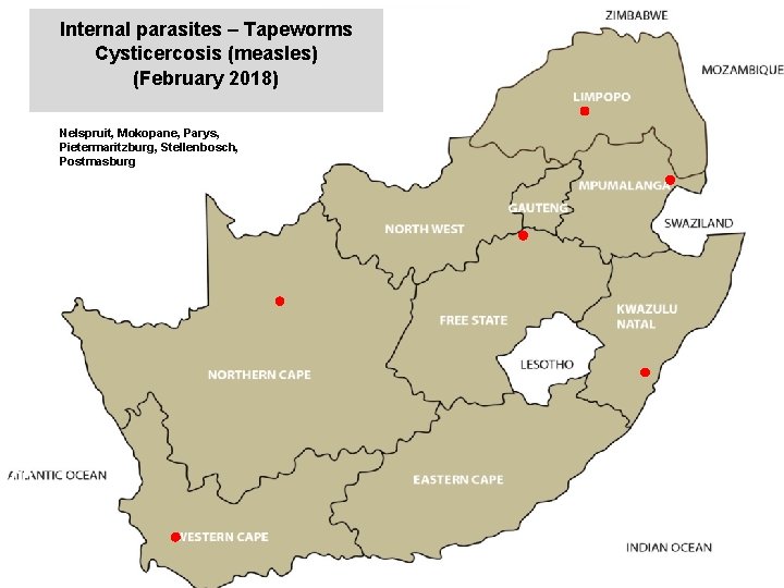 Internal parasites – Tapeworms Cysticercosis (measles) (February 2018) jkccff Nelspruit, Mokopane, Parys, Pietermaritzburg, Stellenbosch,