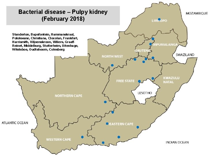 Bacterial disease – Pulpy kidney (February 2018) kjkjnmn Standerton, Bapsfontein, Hammanskraal, Polokwane, Christiana, Clocolan,