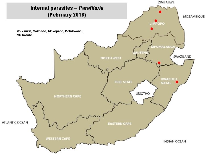 Internal parasites – Parafilaria (February 2018) jkccff Volksrust, Makhado, Mokopane, Polokwane, Mtuba 