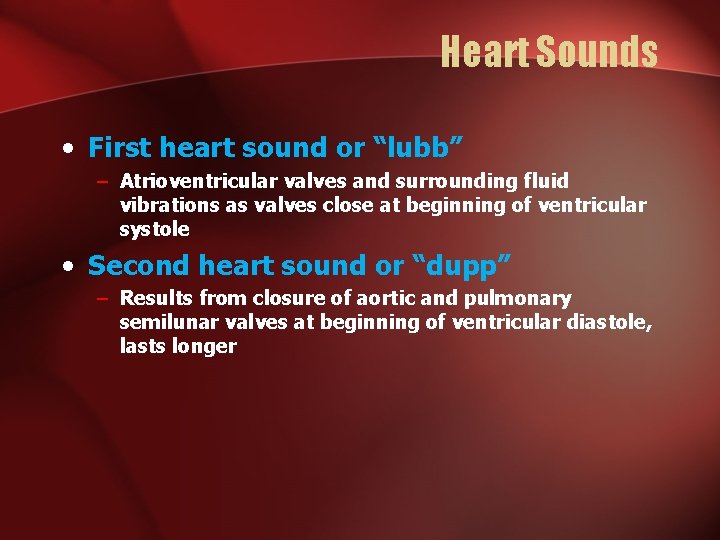 Heart Sounds • First heart sound or “lubb” – Atrioventricular valves and surrounding fluid