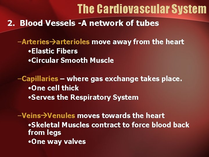 The Cardiovascular System 2. Blood Vessels -A network of tubes –Arteries arterioles move away