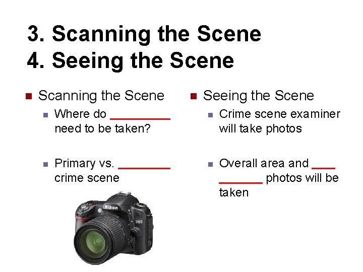 3. Scanning the Scene 4. Seeing the Scene n Scanning the Scene n Seeing