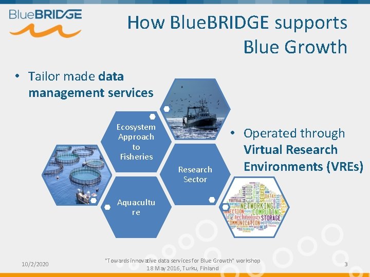 How Blue. BRIDGE supports Blue Growth • Tailor made data management services Ecosystem Approach