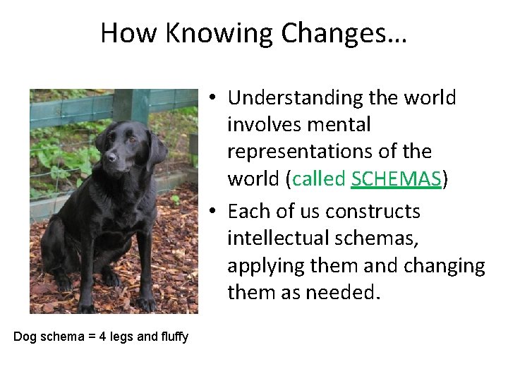 How Knowing Changes… • Understanding the world involves mental representations of the world (called