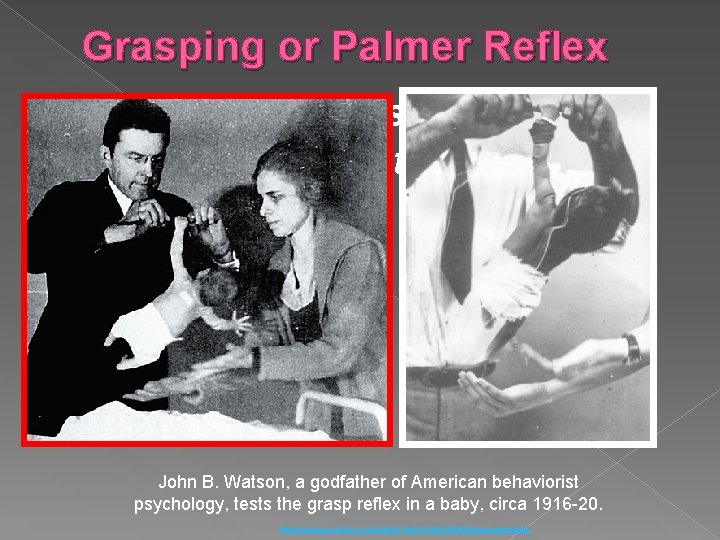 Grasping or Palmer Reflex › Infants response to a touch on the palm of