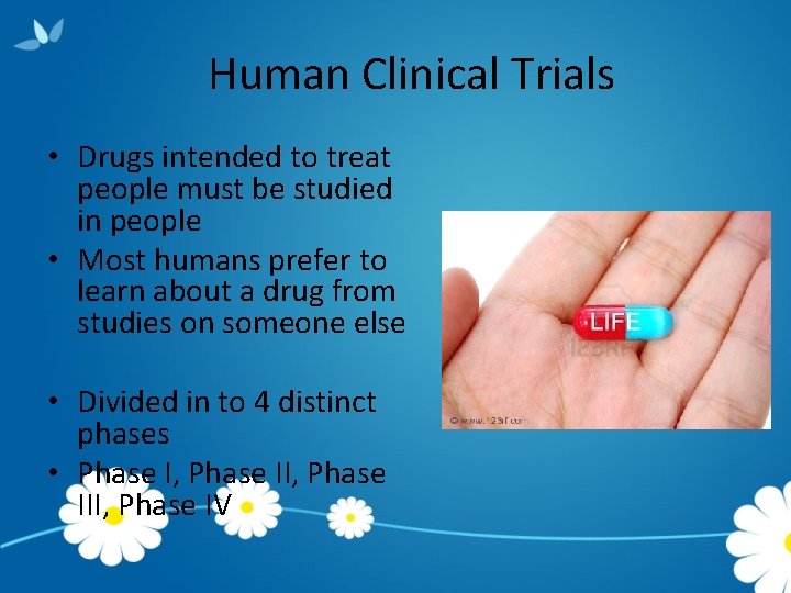 Human Clinical Trials • Drugs intended to treat people must be studied in people