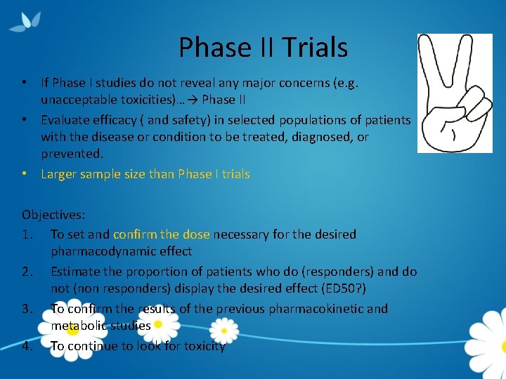 Phase II Trials • If Phase I studies do not reveal any major concerns