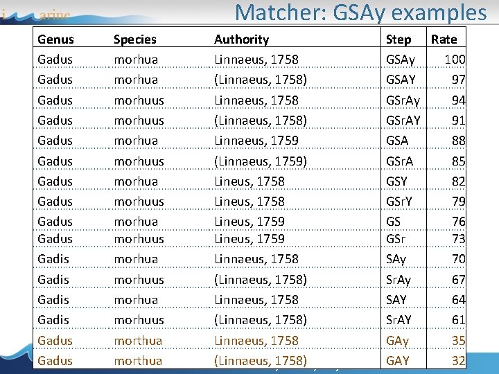 Matcher: GSAy examples Genus Gadus Gadus Gadus Gadis Gadus Species Authority morhua Linnaeus, 1758