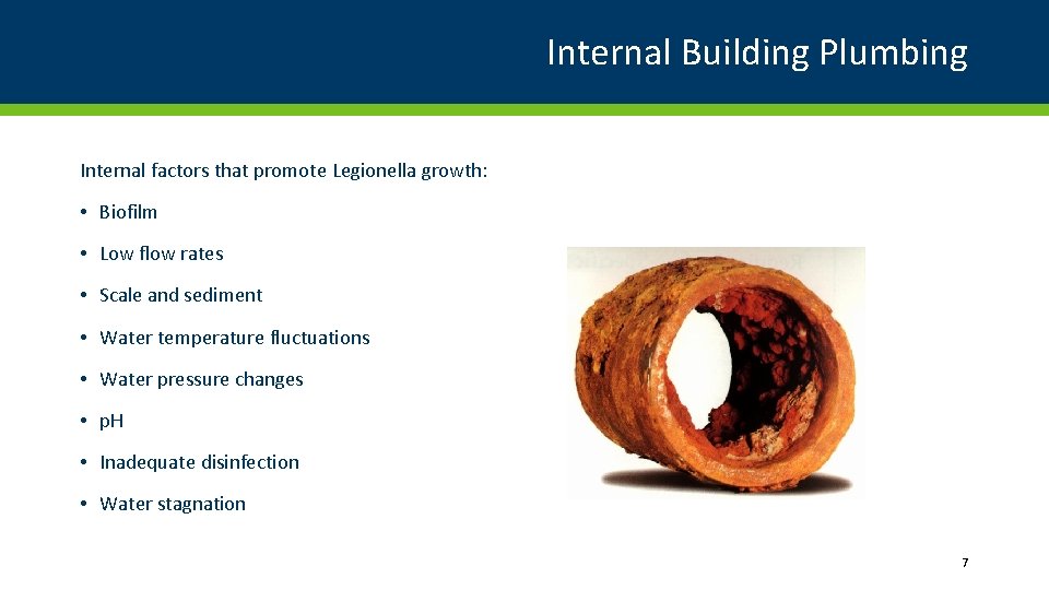 Internal Building Plumbing Internal factors that promote Legionella growth: • Biofilm • Low flow