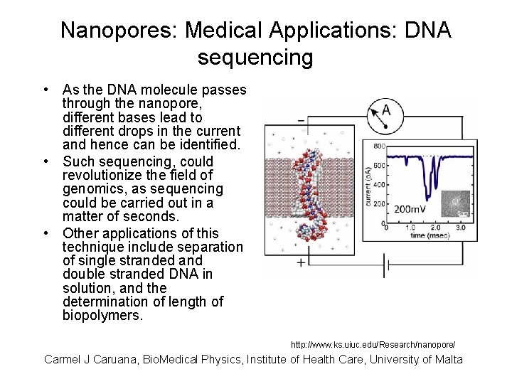 Nanopores: Medical Applications: DNA sequencing • As the DNA molecule passes through the nanopore,