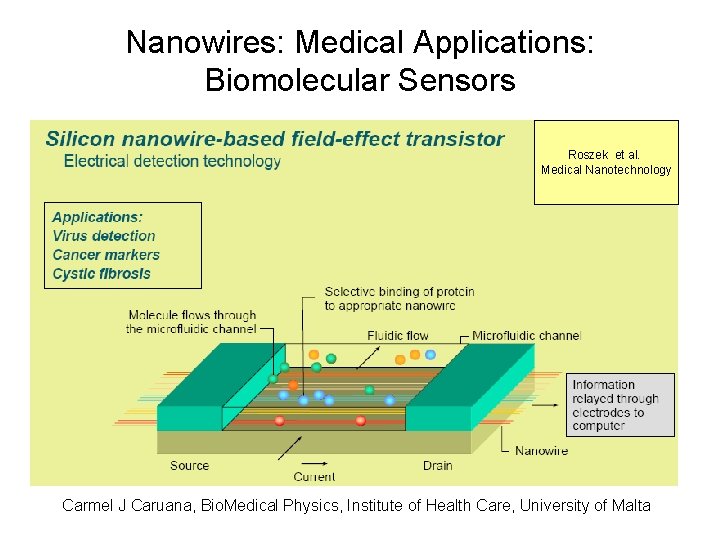 Nanowires: Medical Applications: Biomolecular Sensors Roszek et al. Medical Nanotechnology Carmel J Caruana, Bio.