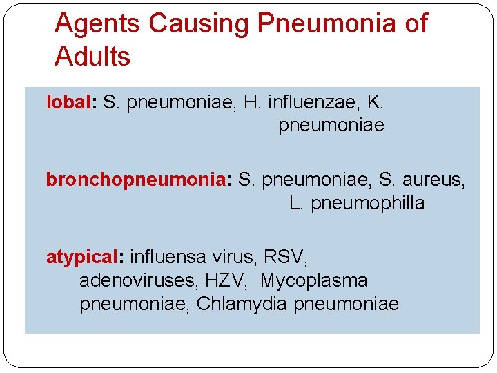 Agents Causing Pneumonia of Adults lobal: S. pneumoniae, H. influenzae, K. pneumoniae bronchopneumonia: S.