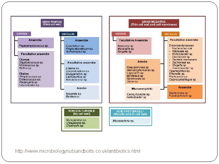 http: //www. microbiologynutsandbolts. co. uk/antibiotics. html 