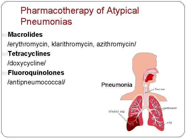 Pharmacotherapy of Atypical Pneumonias Macrolides /erythromycin, klarithromycin, azithromycin/ Tetracyclines /doxycycline/ Fluoroquinolones /antipneumococcal/ 