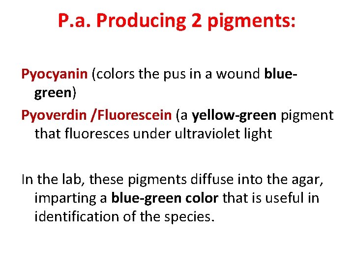 P. a. Producing 2 pigments: Pyocyanin (colors the pus in a wound bluegreen) Pyoverdin