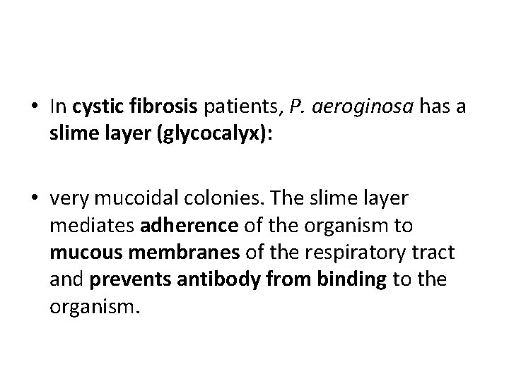  • In cystic fibrosis patients, P. aeroginosa has a slime layer (glycocalyx): •