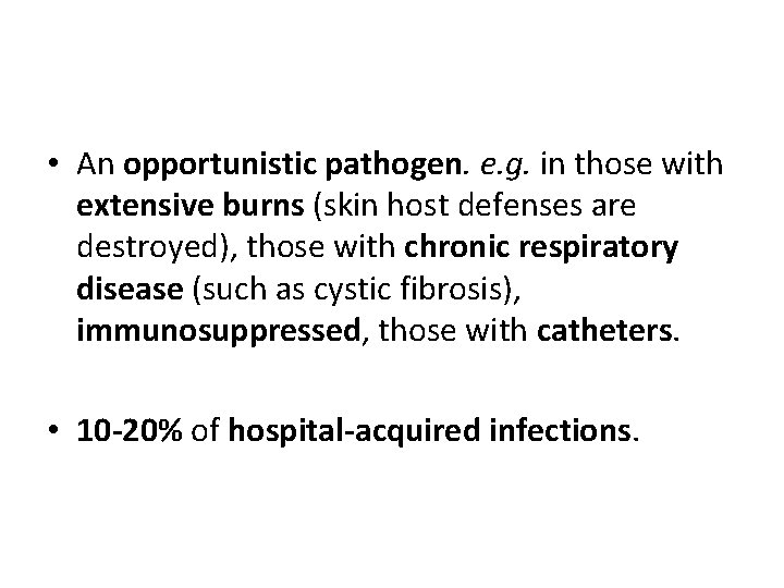  • An opportunistic pathogen. e. g. in those with extensive burns (skin host