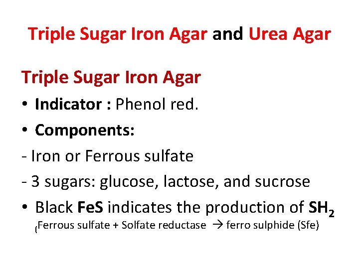 Triple Sugar Iron Agar and Urea Agar Triple Sugar Iron Agar • Indicator :