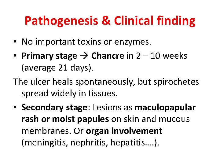 Pathogenesis & Clinical finding • No important toxins or enzymes. • Primary stage Chancre