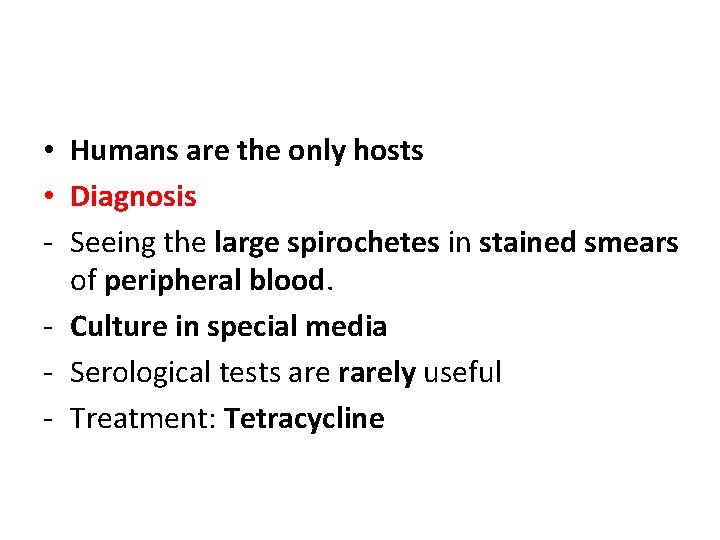  • Humans are the only hosts • Diagnosis - Seeing the large spirochetes