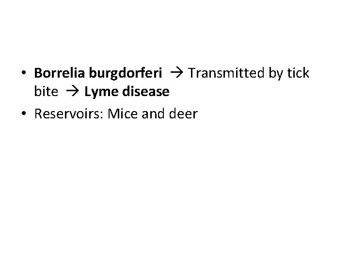  • Borrelia burgdorferi Transmitted by tick bite Lyme disease • Reservoirs: Mice and