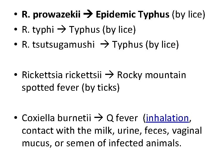  • R. prowazekii Epidemic Typhus (by lice) • R. typhi Typhus (by lice)