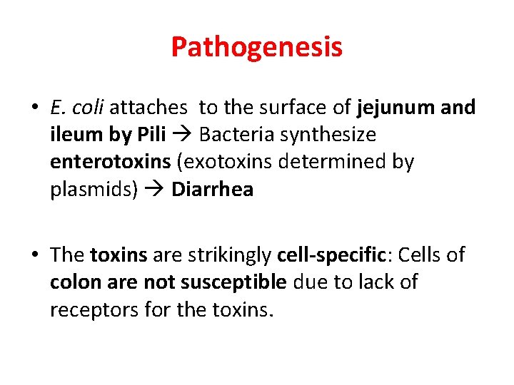 Pathogenesis • E. coli attaches to the surface of jejunum and ileum by Pili