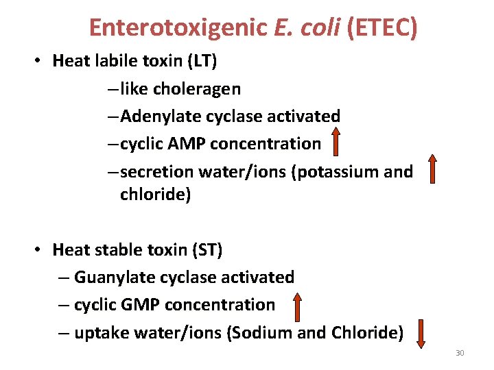 Enterotoxigenic E. coli (ETEC) • Heat labile toxin (LT) – like choleragen – Adenylate