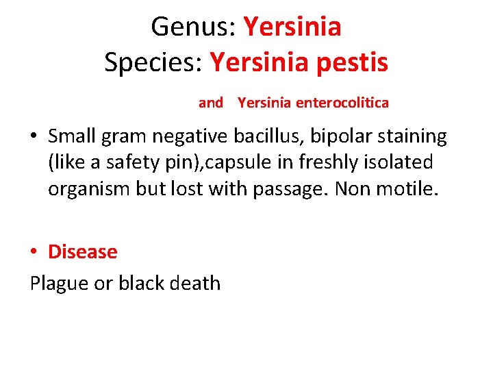 Genus: Yersinia Species: Yersinia pestis and Yersinia enterocolitica • Small gram negative bacillus, bipolar