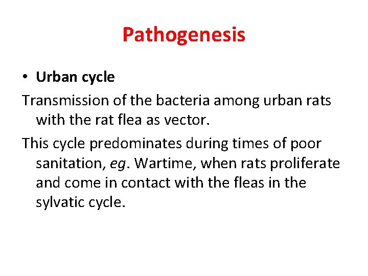 Pathogenesis • Urban cycle Transmission of the bacteria among urban rats with the rat