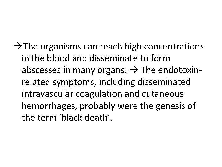  The organisms can reach high concentrations in the blood and disseminate to form