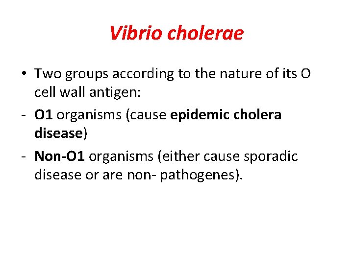 Vibrio cholerae • Two groups according to the nature of its O cell wall