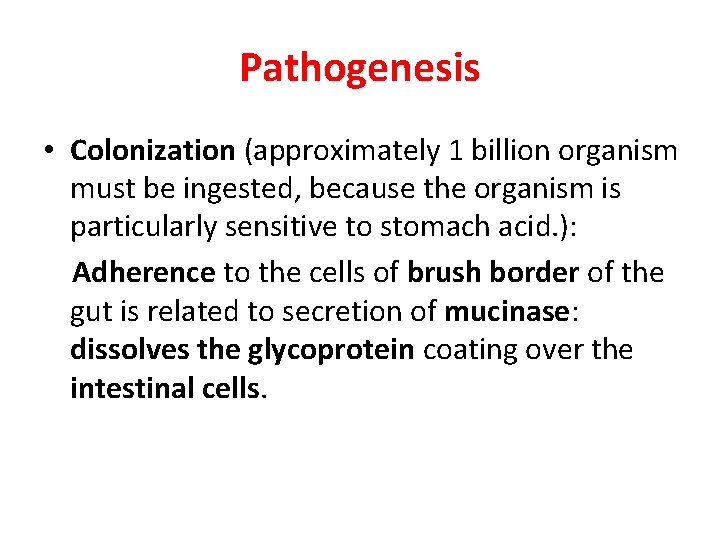 Pathogenesis • Colonization (approximately 1 billion organism must be ingested, because the organism is