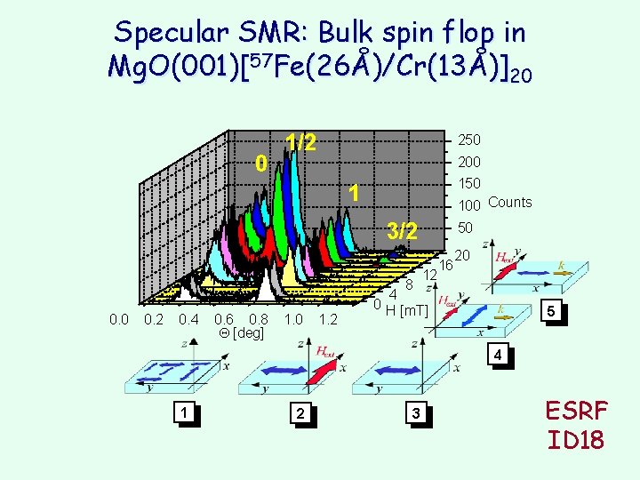 Specular SMR: Bulk spin flop in Mg. O(001)[57 Fe(26Å)/Cr(13Å)]20 0 1/2 250 200 150