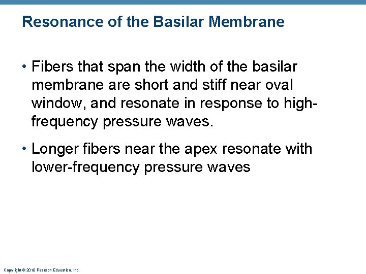 Resonance of the Basilar Membrane • Fibers that span the width of the basilar