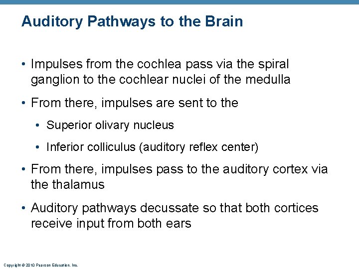 Auditory Pathways to the Brain • Impulses from the cochlea pass via the spiral