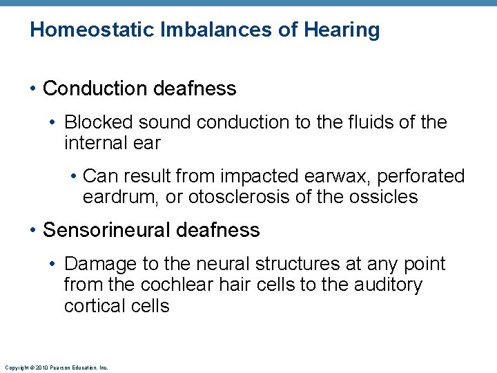 Homeostatic Imbalances of Hearing • Conduction deafness • Blocked sound conduction to the fluids