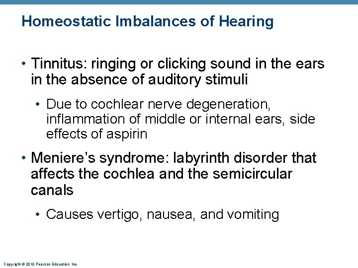 Homeostatic Imbalances of Hearing • Tinnitus: ringing or clicking sound in the ears in