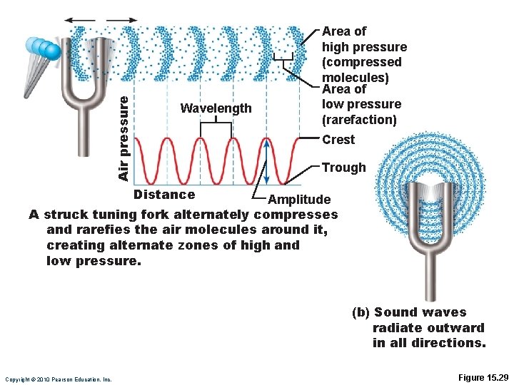 Air pressure Wavelength Area of high pressure (compressed molecules) Area of low pressure (rarefaction)