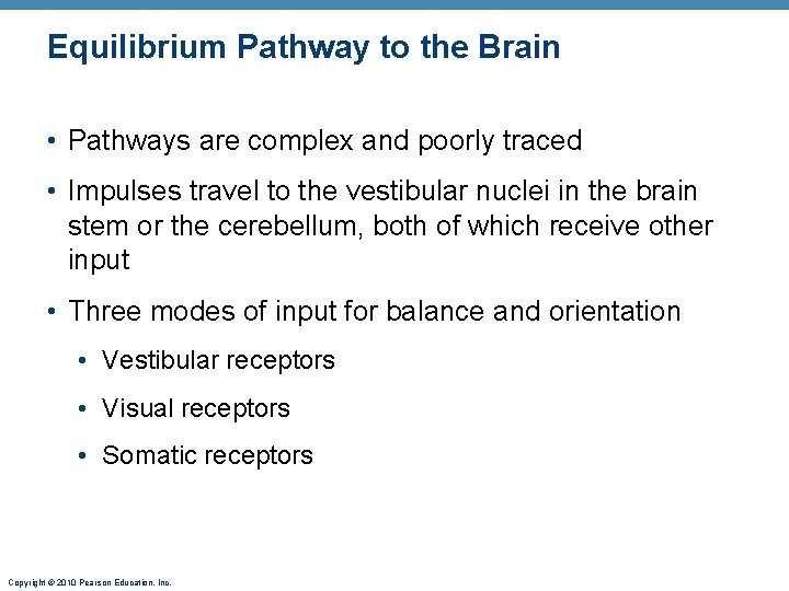 Equilibrium Pathway to the Brain • Pathways are complex and poorly traced • Impulses