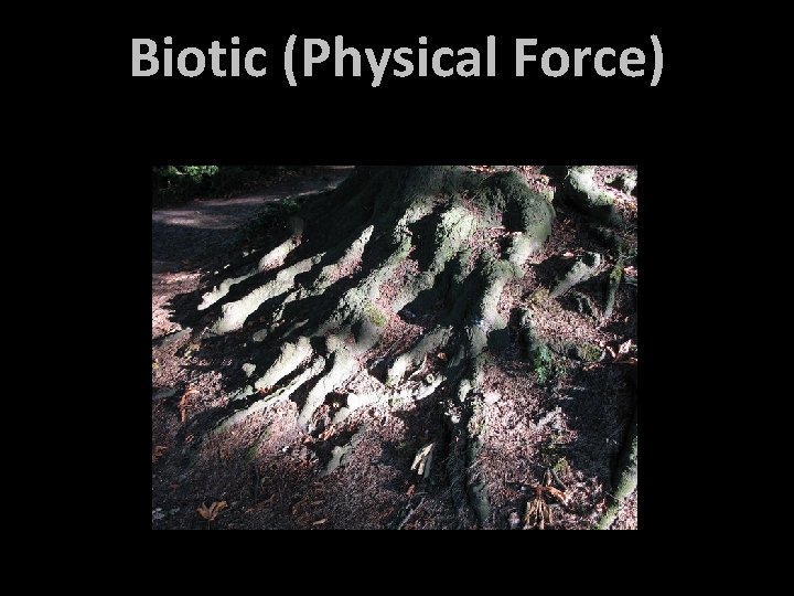 Biotic (Physical Force) 